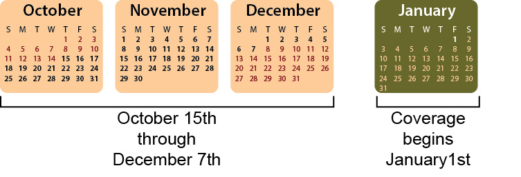 Annual Election Period