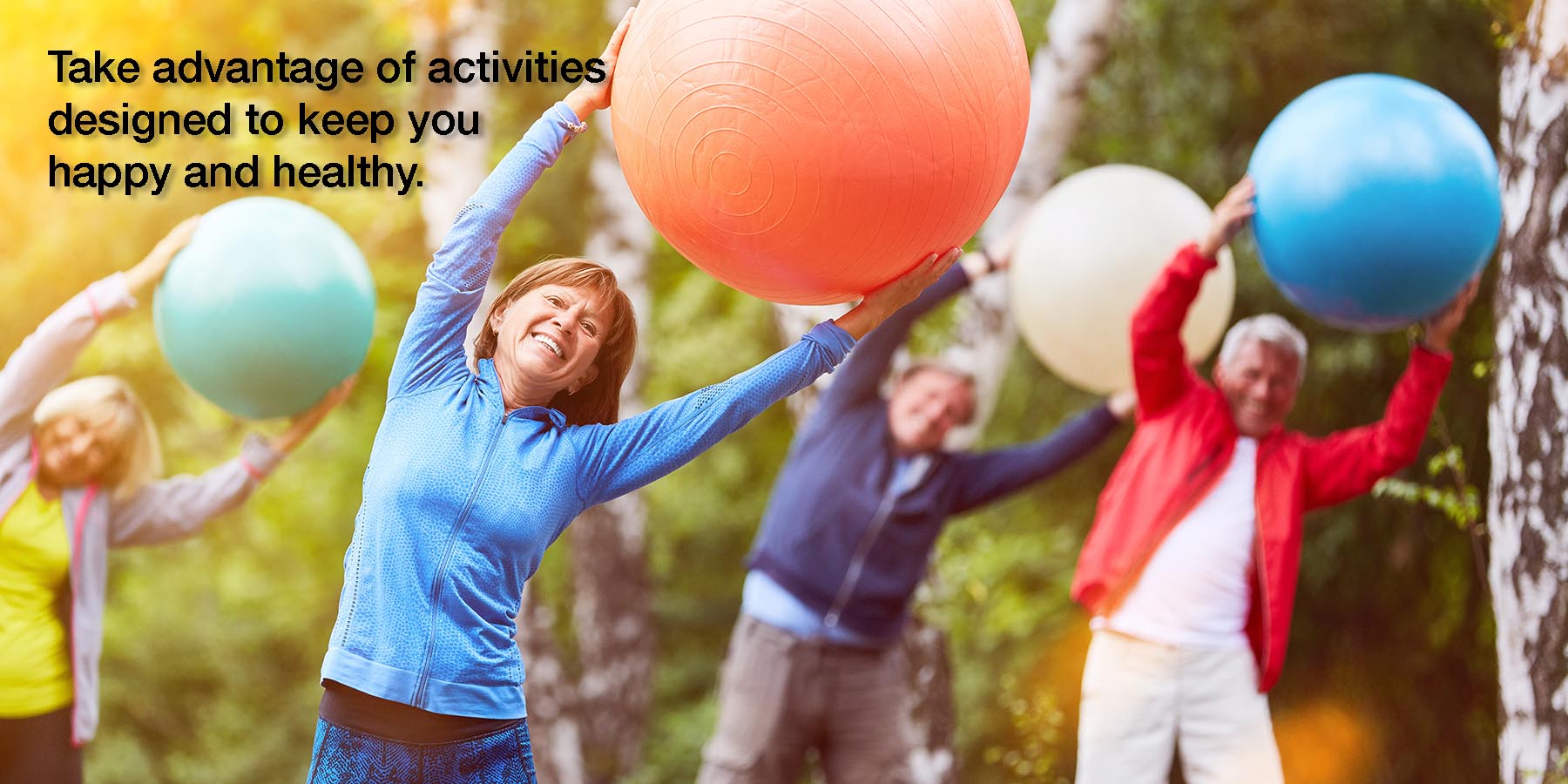 Review and Compare Supplements